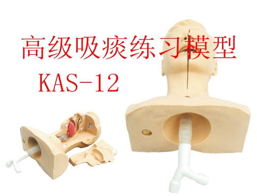 醫學教學模型
